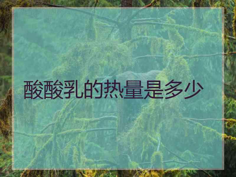 酸酸乳的热量是多少