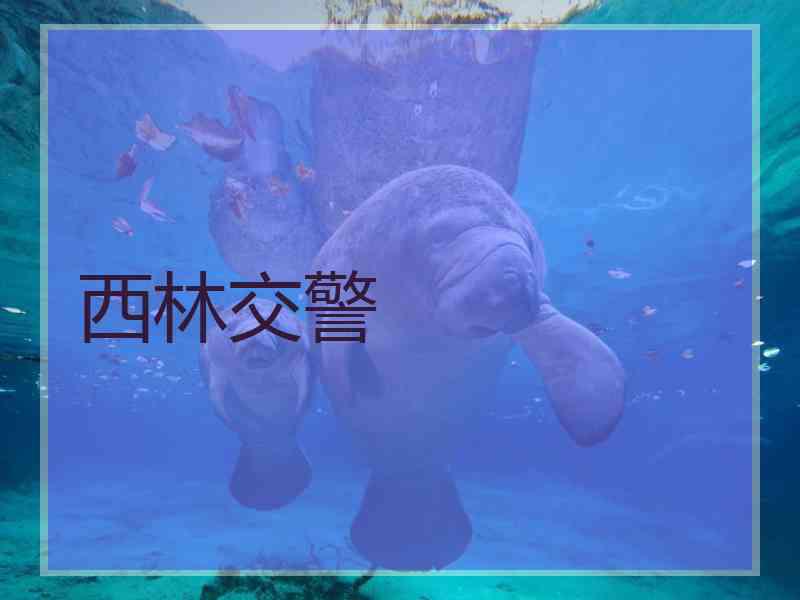 西林交警