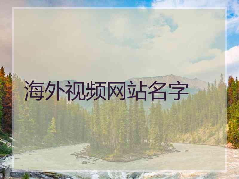 海外视频网站名字