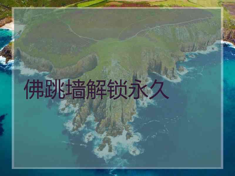 佛跳墙解锁永久