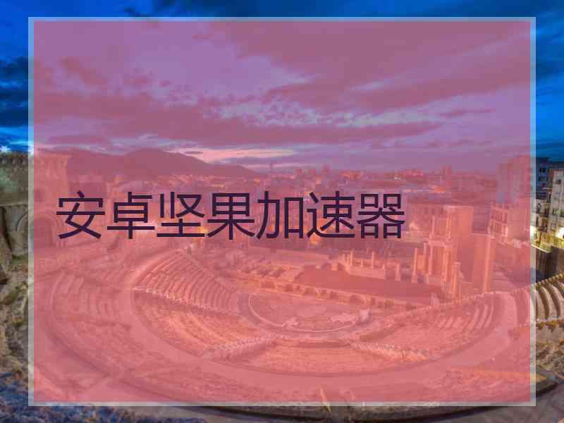 安卓坚果加速器