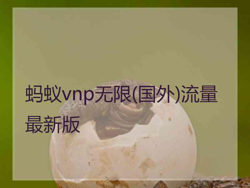 蚂蚁vnp无限(国外)流量最新版
