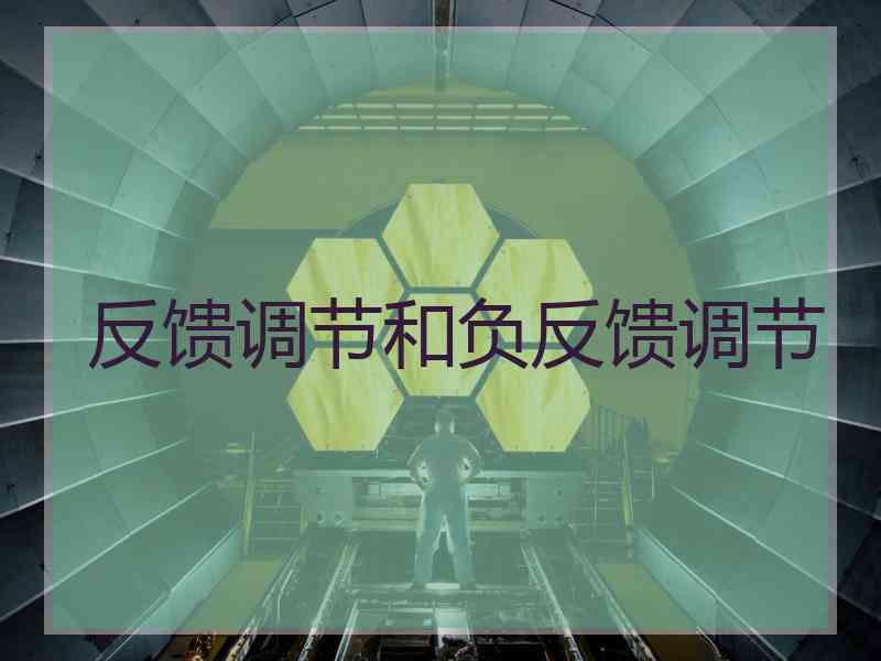 反馈调节和负反馈调节