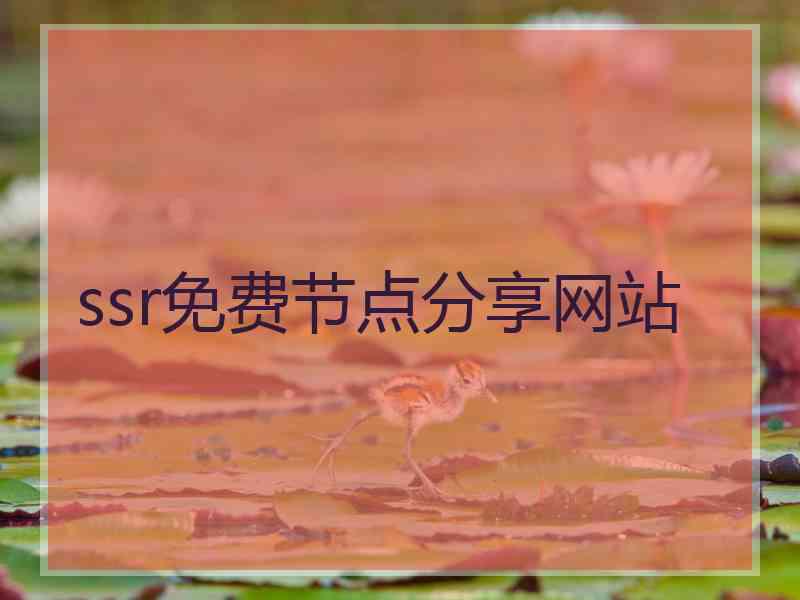 ssr免费节点分享网站