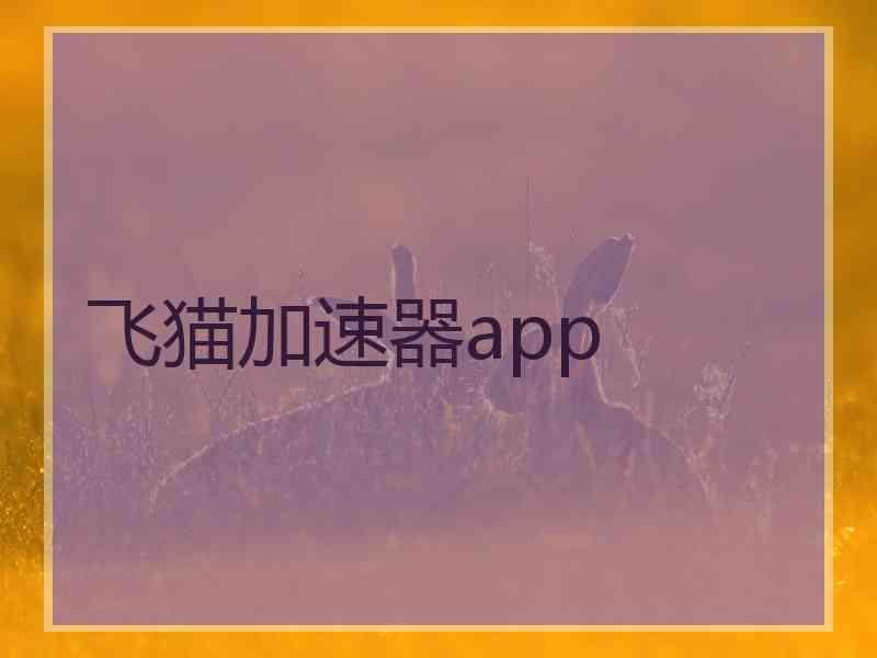飞猫加速器app
