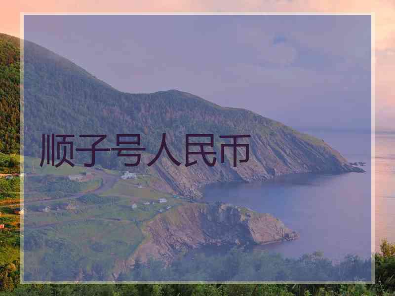 顺子号人民币
