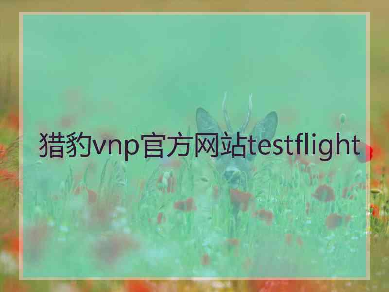 猎豹vnp官方网站testflight