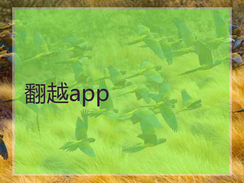 翻越app