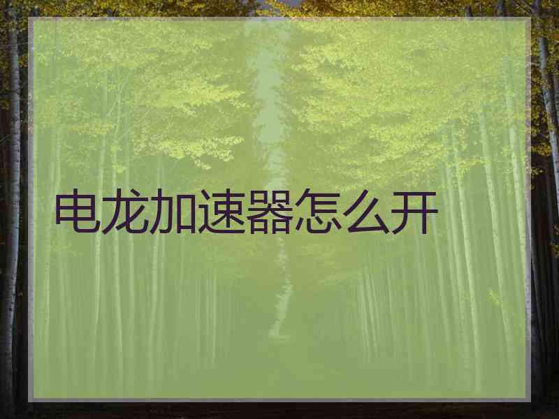 电龙加速器怎么开