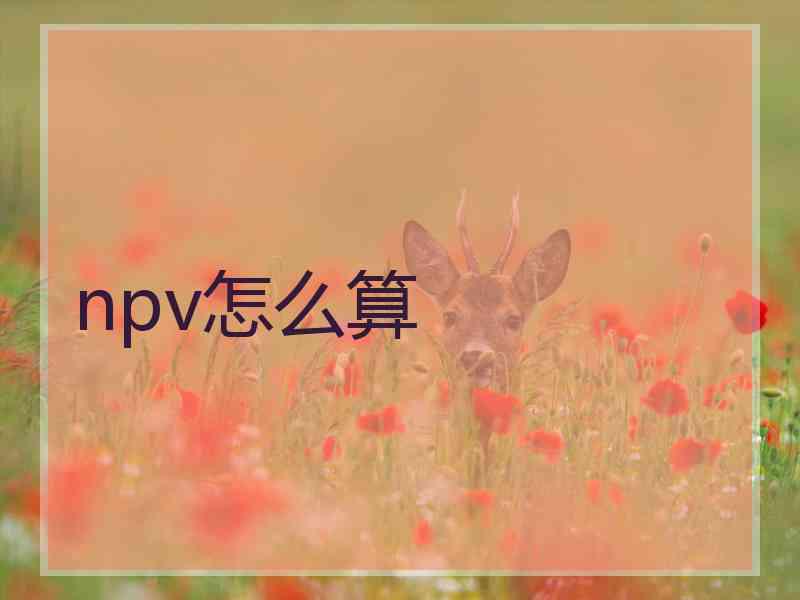 npv怎么算