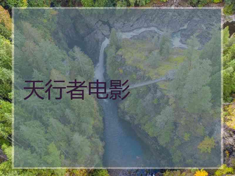 天行者电影