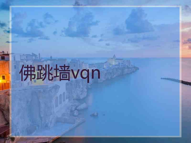 佛跳墙vqn