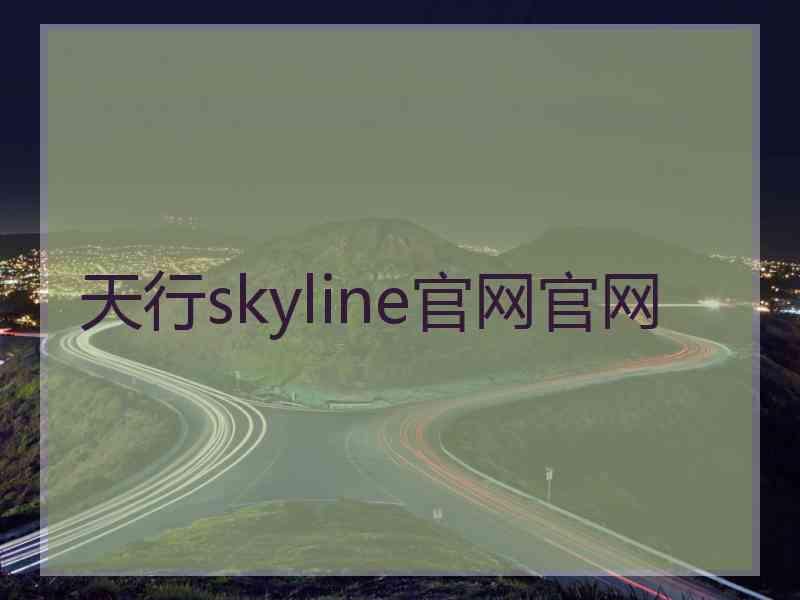 天行skyline官网官网