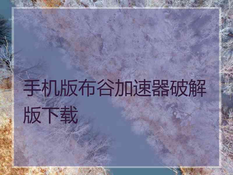 手机版布谷加速器破解版下载