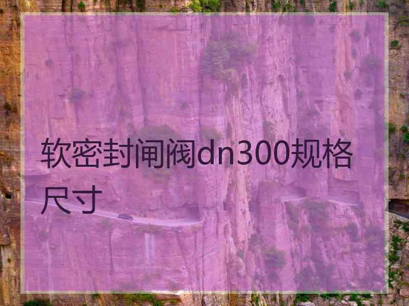 软密封闸阀dn300规格尺寸