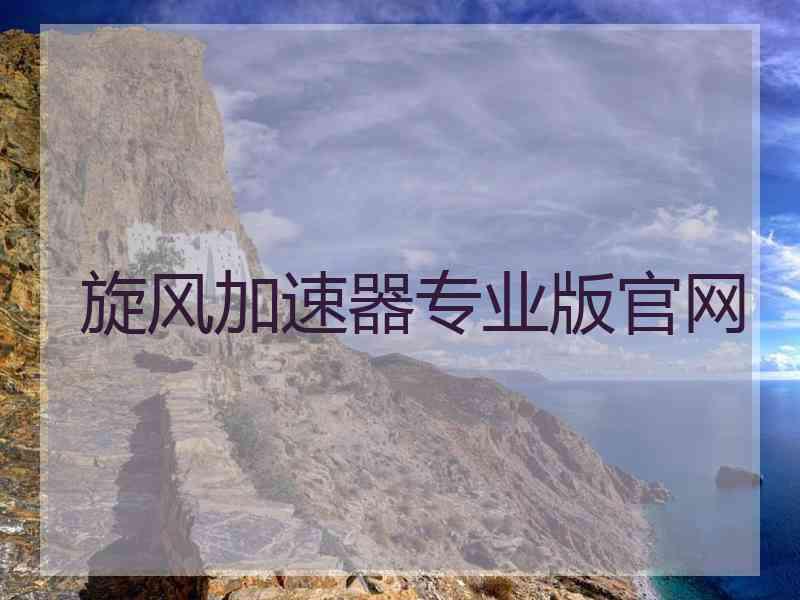 旋风加速器专业版官网