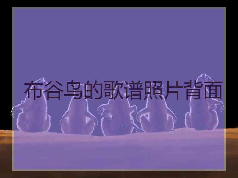 布谷鸟的歌谱照片背面