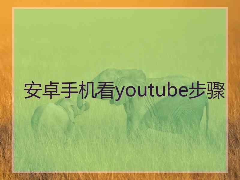 安卓手机看youtube步骤