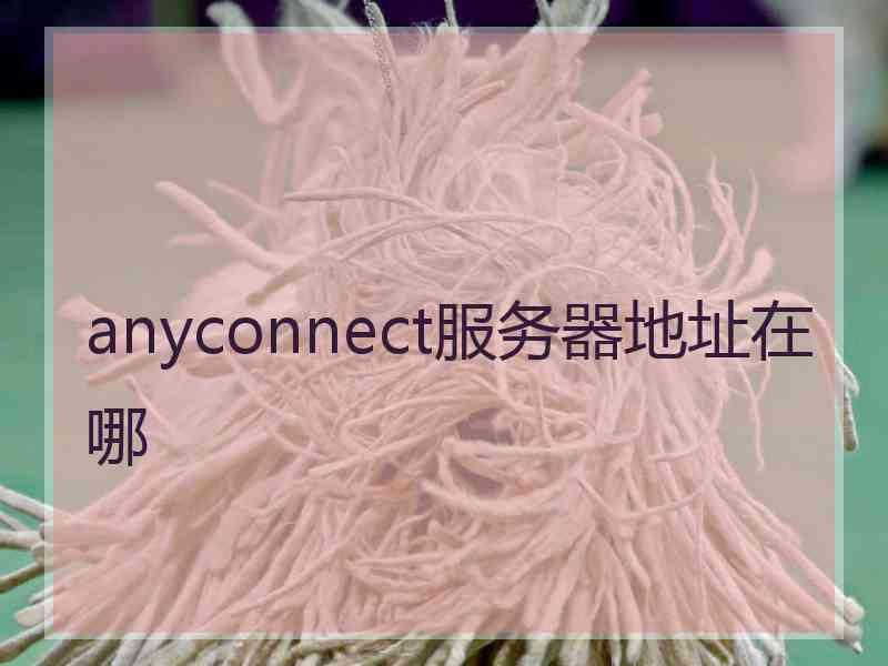 anyconnect服务器地址在哪