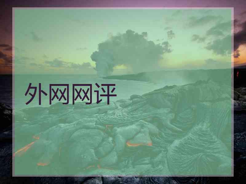 外网网评