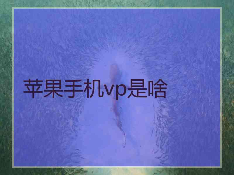 苹果手机vp是啥