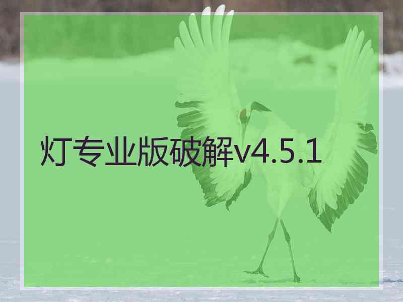灯专业版破解v4.5.1
