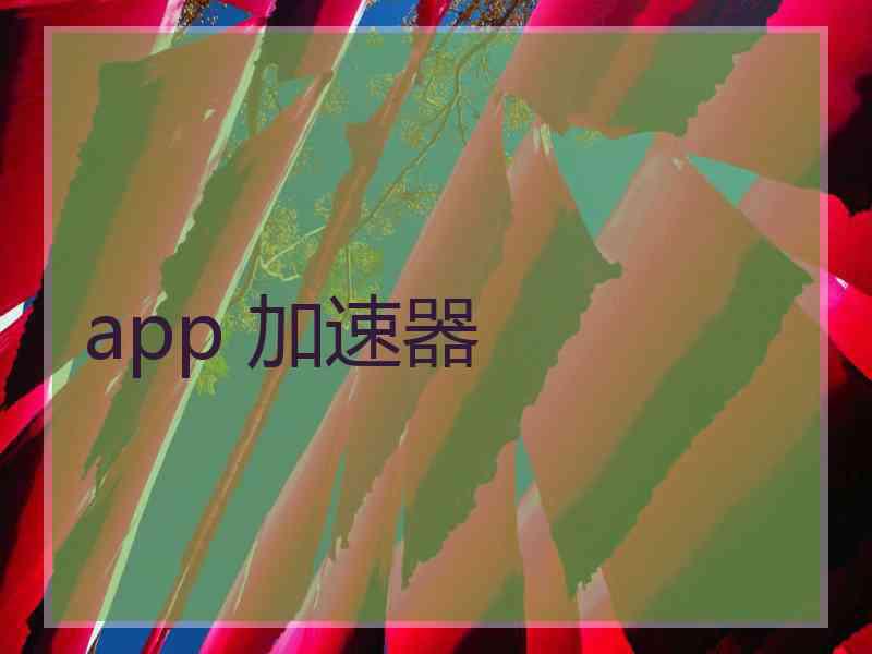 app 加速器