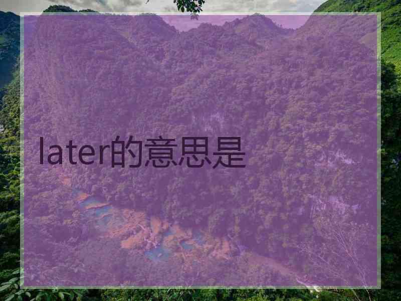 later的意思是
