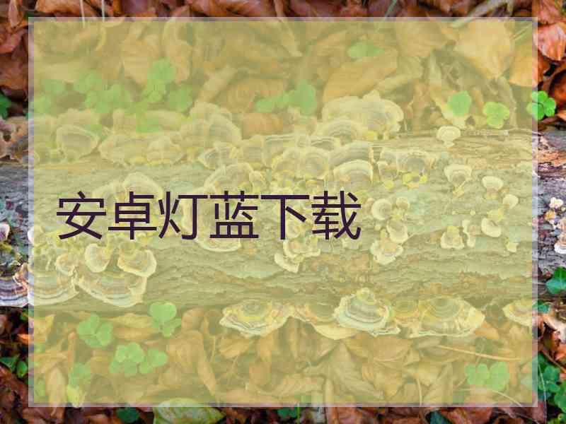 安卓灯蓝下载