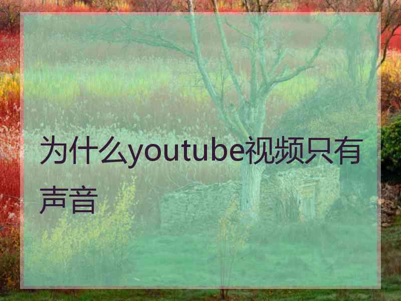 为什么youtube视频只有声音