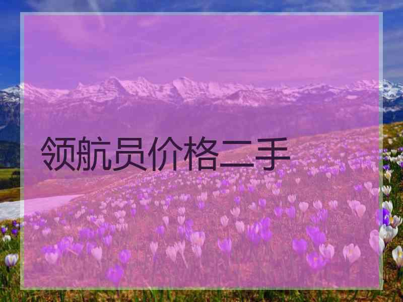 领航员价格二手