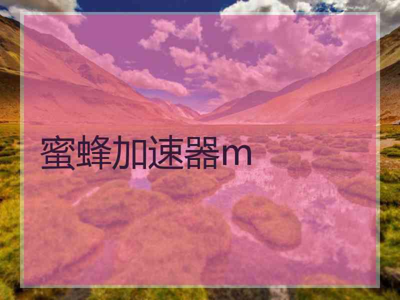 蜜蜂加速器m