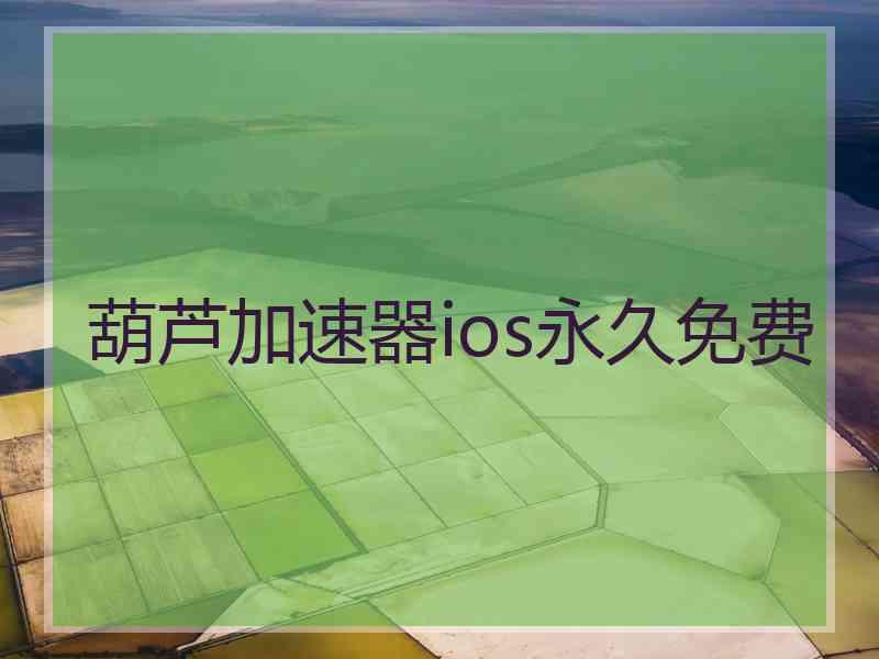 葫芦加速器ios永久免费