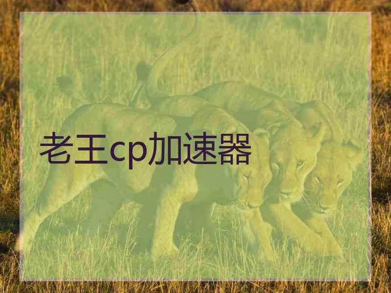 老王cp加速器