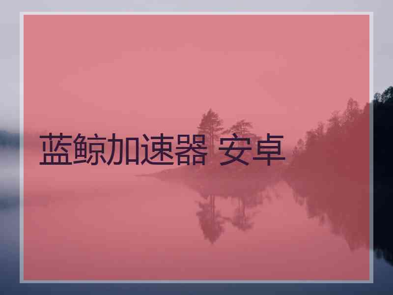 蓝鲸加速器 安卓