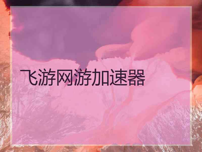 飞游网游加速器