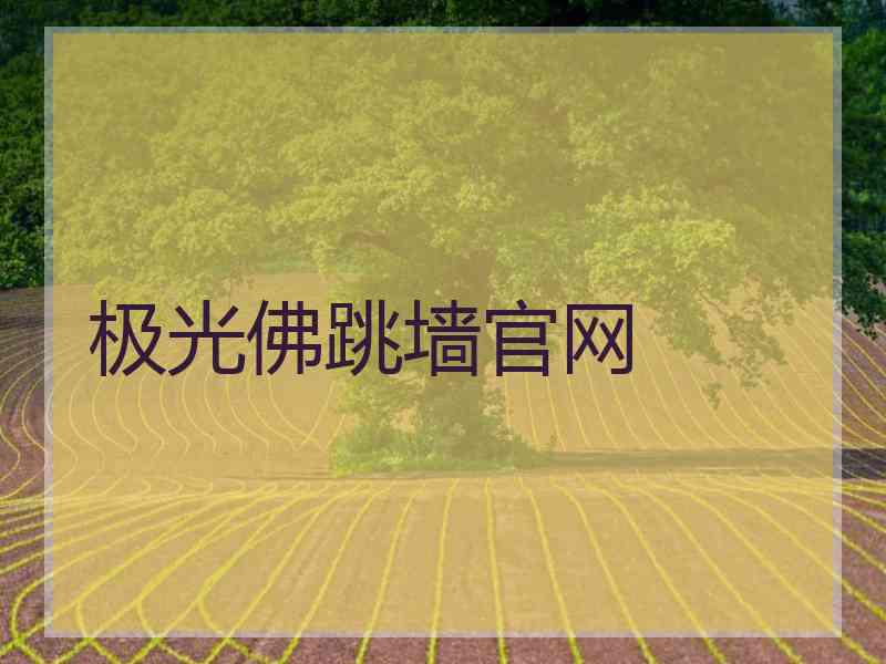 极光佛跳墙官网