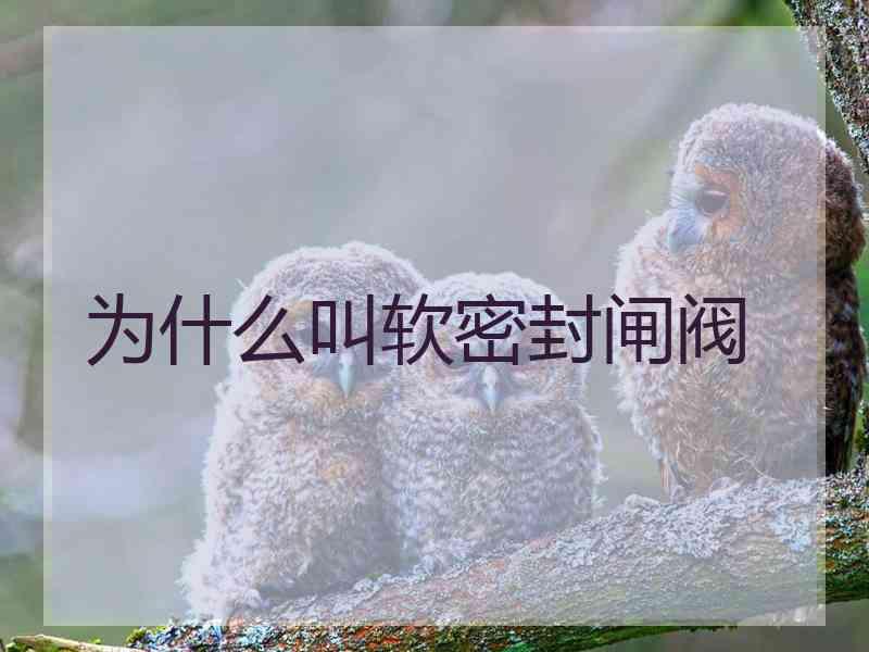 为什么叫软密封闸阀