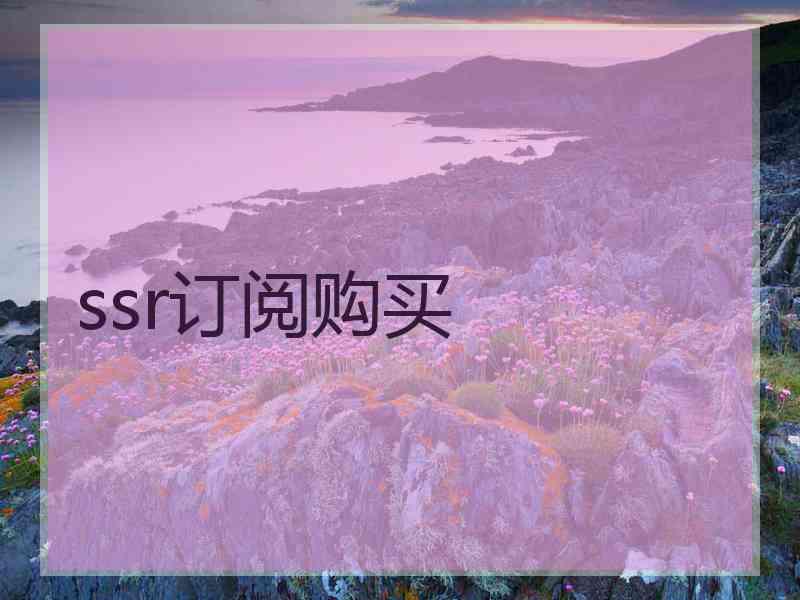 ssr订阅购买