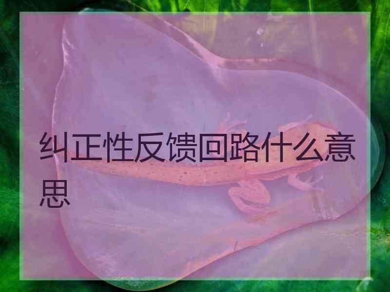纠正性反馈回路什么意思