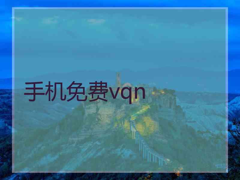 手机免费vqn