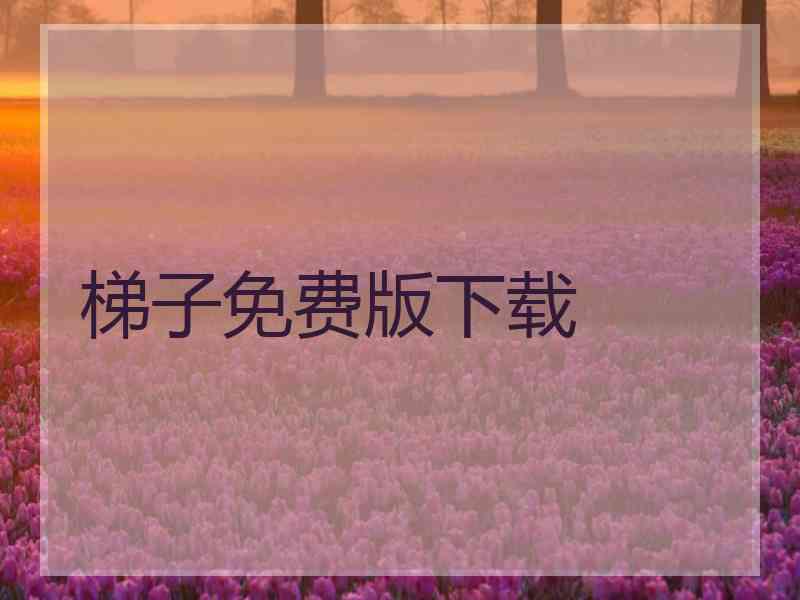梯子免费版下载