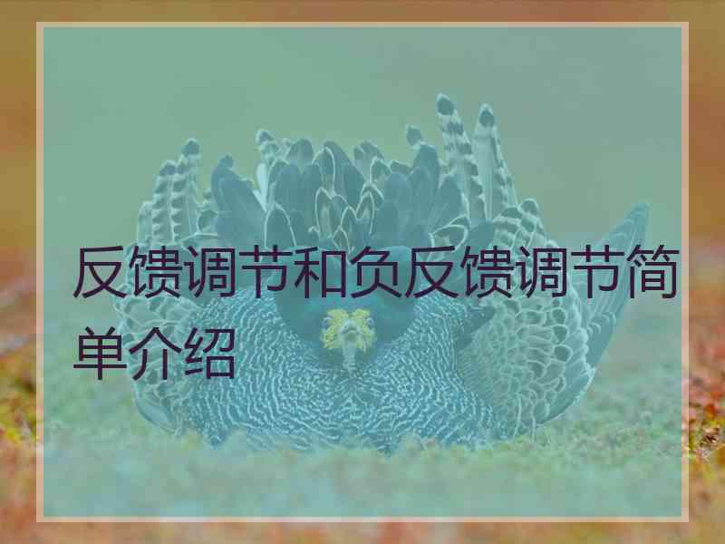 反馈调节和负反馈调节简单介绍