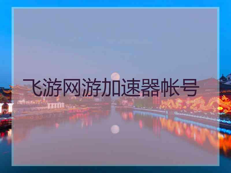 飞游网游加速器帐号