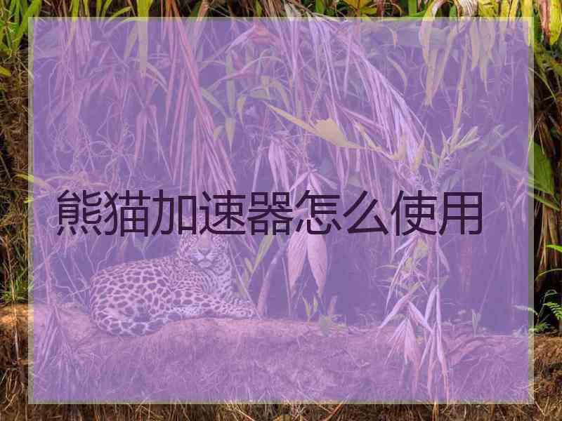 熊猫加速器怎么使用