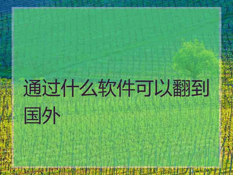 通过什么软件可以翻到国外