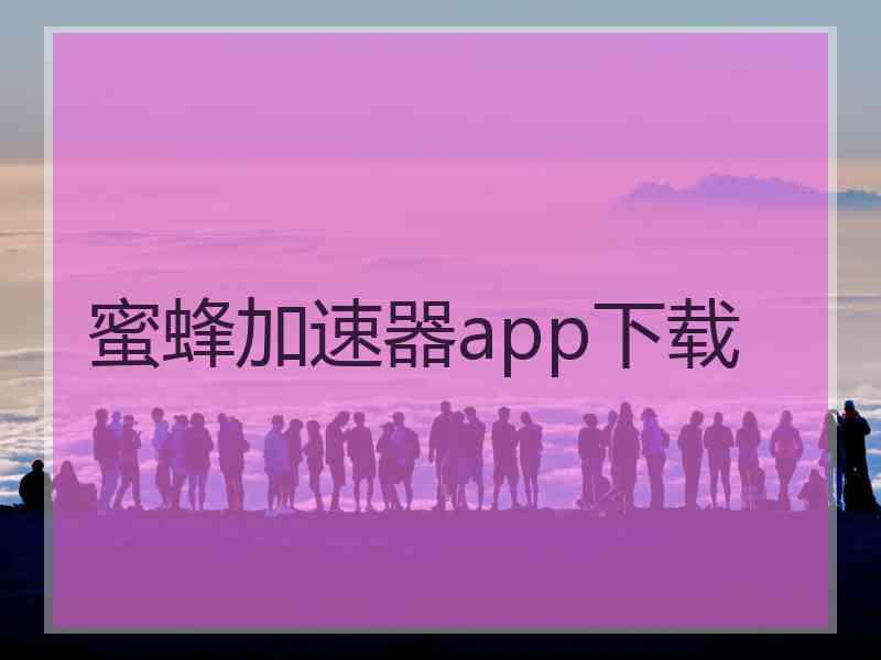 蜜蜂加速器app下载