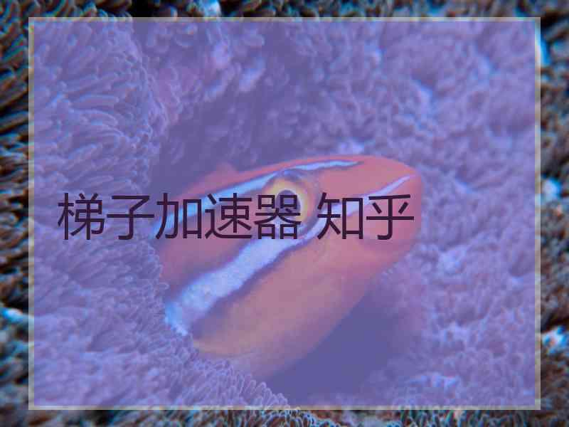梯子加速器 知乎