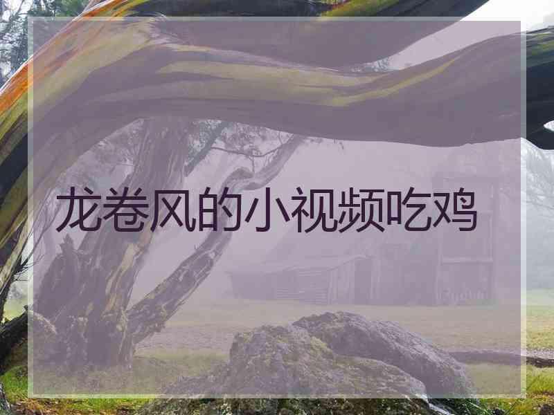 龙卷风的小视频吃鸡
