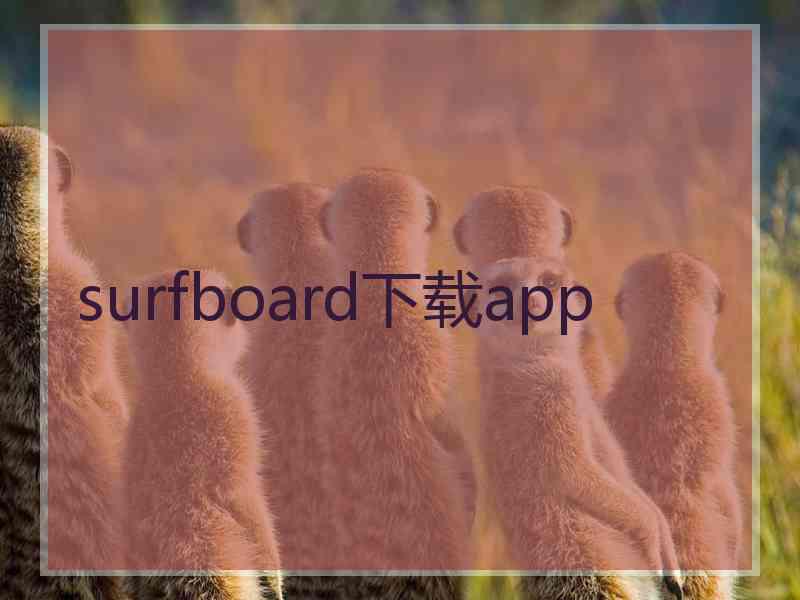 surfboard下载app